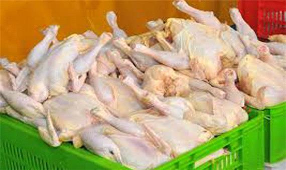 آغاز توزیع مرغ منجمد در استان اصفهان