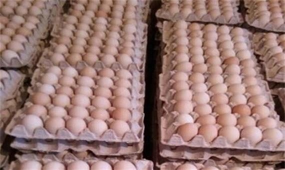 صادرات تخم‌مرغ ممنوع شد + سند