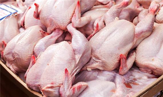 پشت پرده افزایش قیمت مرغ در اصفهان چیست؟