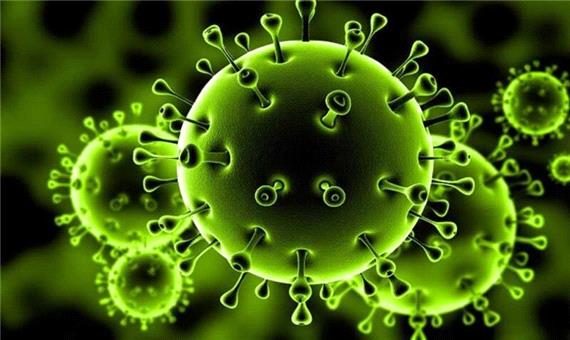 اینفوگرافی/ آخرین وضعیت استان‌های درگیر با ویروس کرونا
