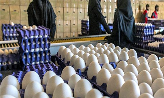 اصفهان با مازاد تولید مرغ، تخم‌مرغ و شیر مواجه است