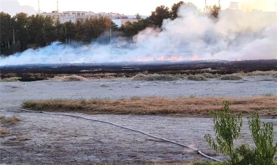 آتش سوزی در نیزارهای بستر رودخانه زاینده رود