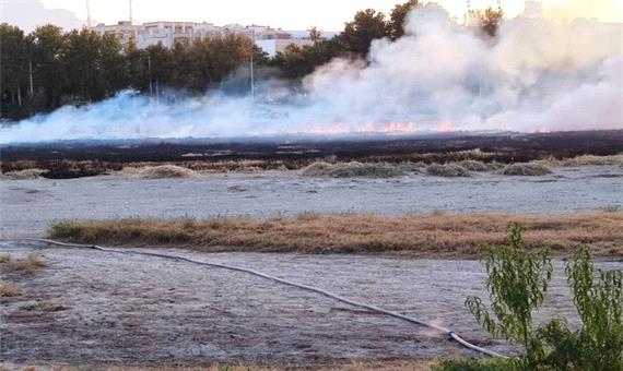 تکرار حادثه آتش‌سوزی در نیزارهای رودخانه زاینده رود