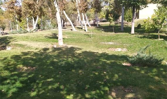 40 اصله درخت خطر آفرین در پارک مشتاق دوم اصفهان قطع شد