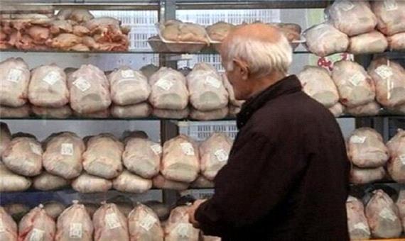 کاهش جوجه ریزی عامل افزایش قیمت مرغ است