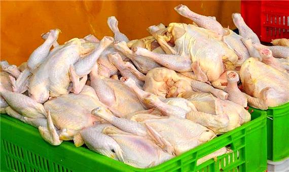 25 درصد مرغ  تولیداصفهان در فروشگاه‌های  زنجیره ای توزیع می‌شود