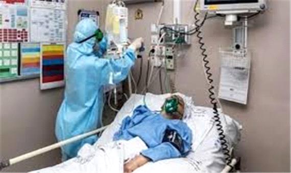 بستری شدن 12 بیمار کرونایی در منطقه کاشان
