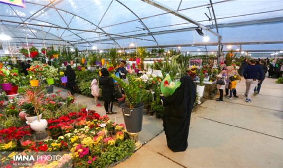 فعالیت بازار گل و گیاه همدانیان با رعایت کامل دستورالعمل‌های بهداشتی
