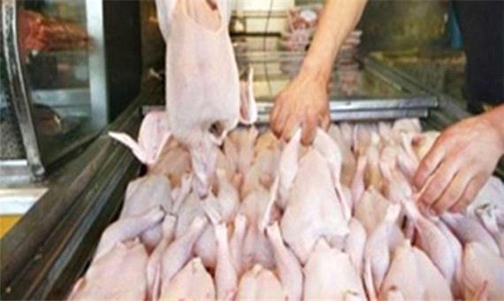 مردم نگران تأمین مرغ نباشند/ کشتار روزانه 20 تنی مرغ گرم در کاشان