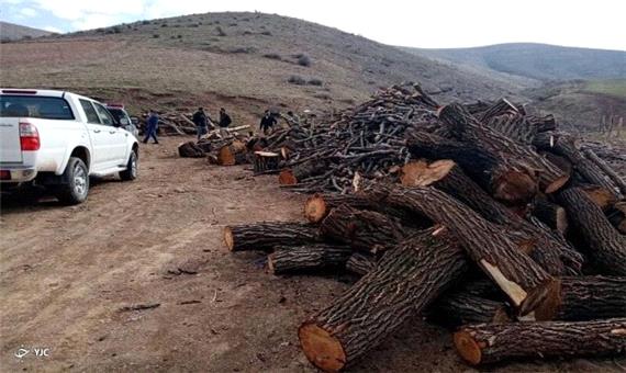 3 تن چوب قاچاق در مهاباد کشف شد