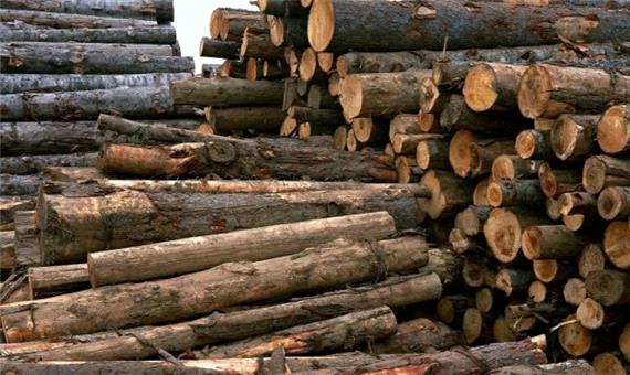 مشکلات تأمین ارز علت محدودیت واردات چوب