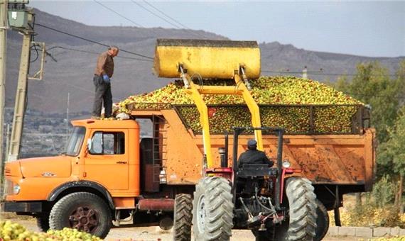خرید تضمینی سیب‌ درختی صنعتی سمیرم تا پایان مهر ادامه دارد