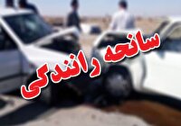 انتقال ۸ مصدوم حادثه رانندگی به بیمارستان بهنیای تیران