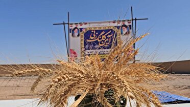 خوشه گندم؛ طرح مردمی مدرسه سازی  در کوهپایه
