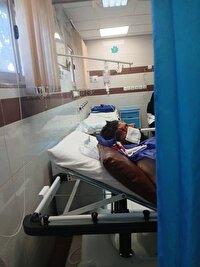 حمله خرس به شهروند سمیرمی