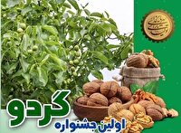 میزبانی روستای نیسیان از نخستین جشنواره گردوی اردستان
