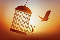 کمک یک میلیاردی به آزادی زندانیان جرائم غیرعمد مالی