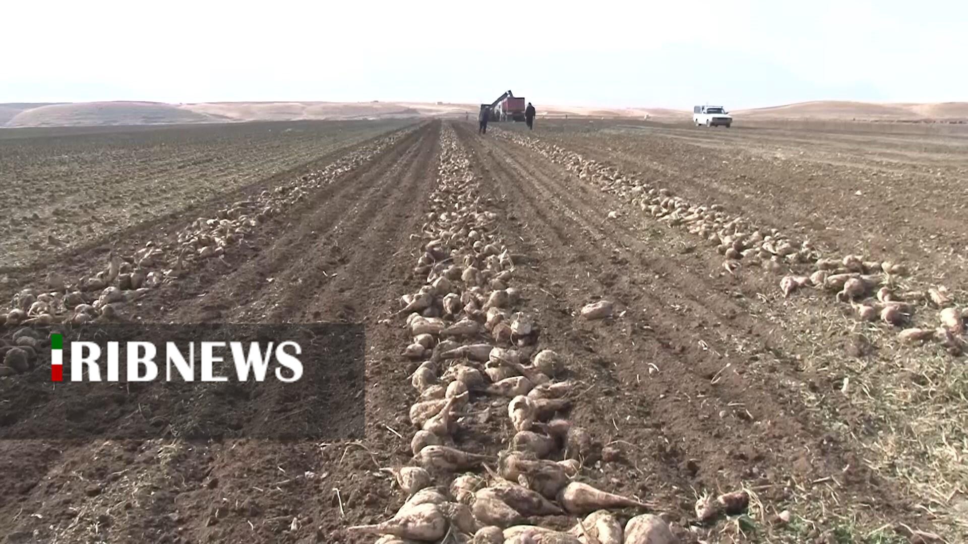 پیام سپاهان