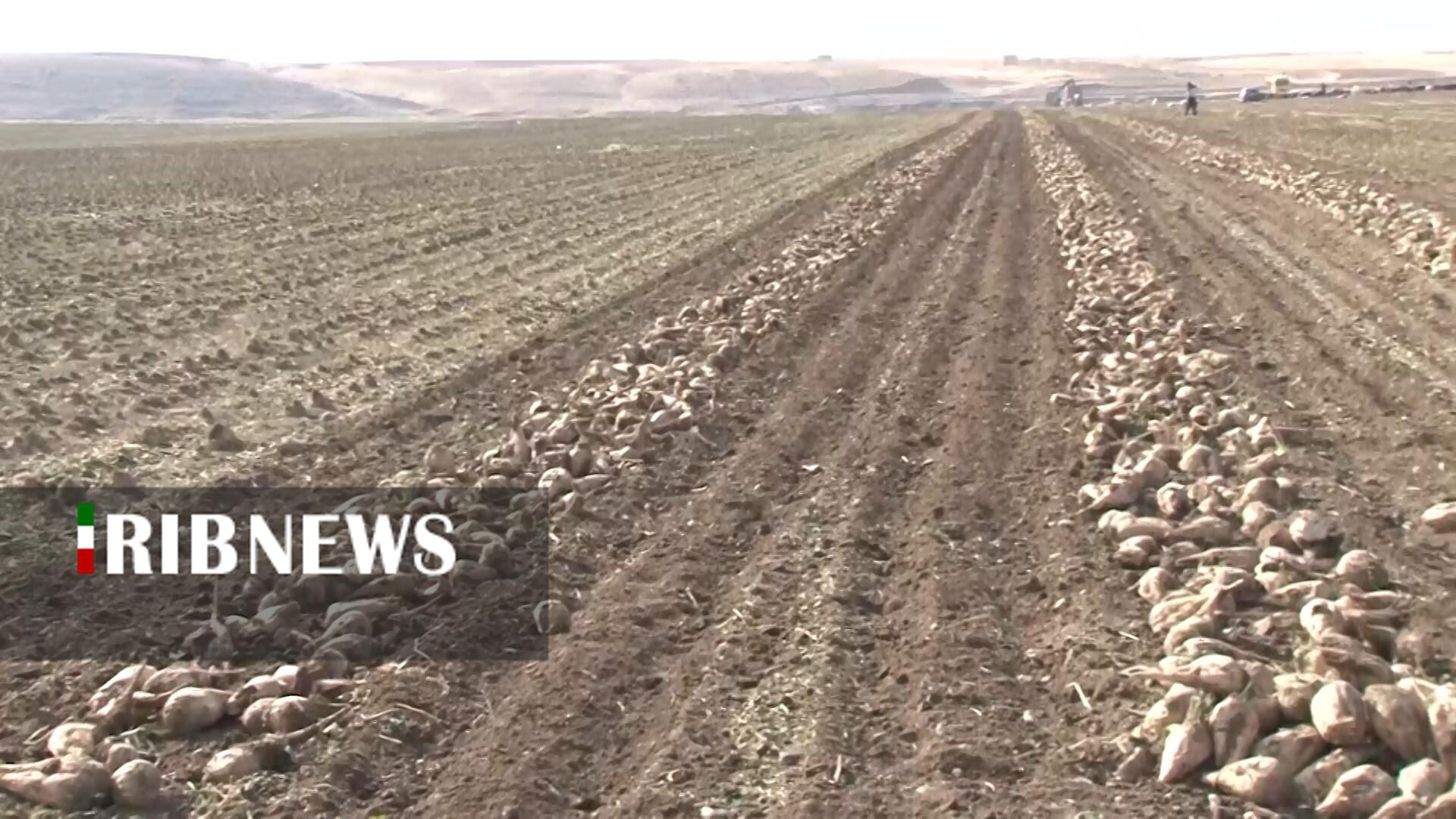 پیام سپاهان