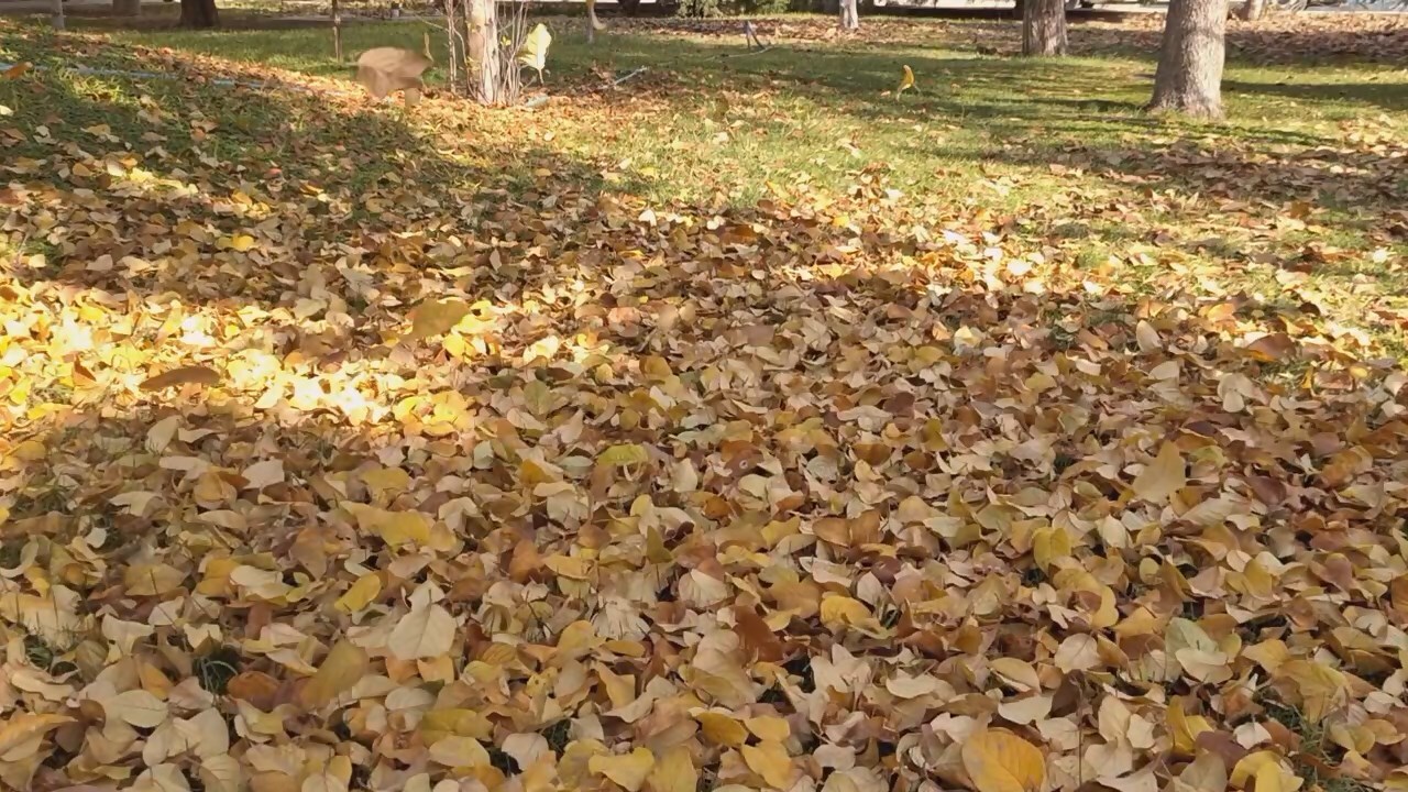 پیام سپاهان