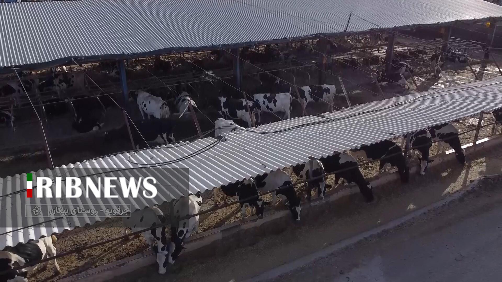 پیام سپاهان