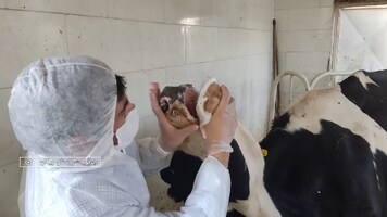 پیام سپاهان