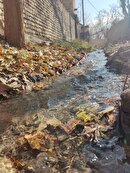 خزانِ روستا، اعجازِ سکوت و خلوت و آرامش