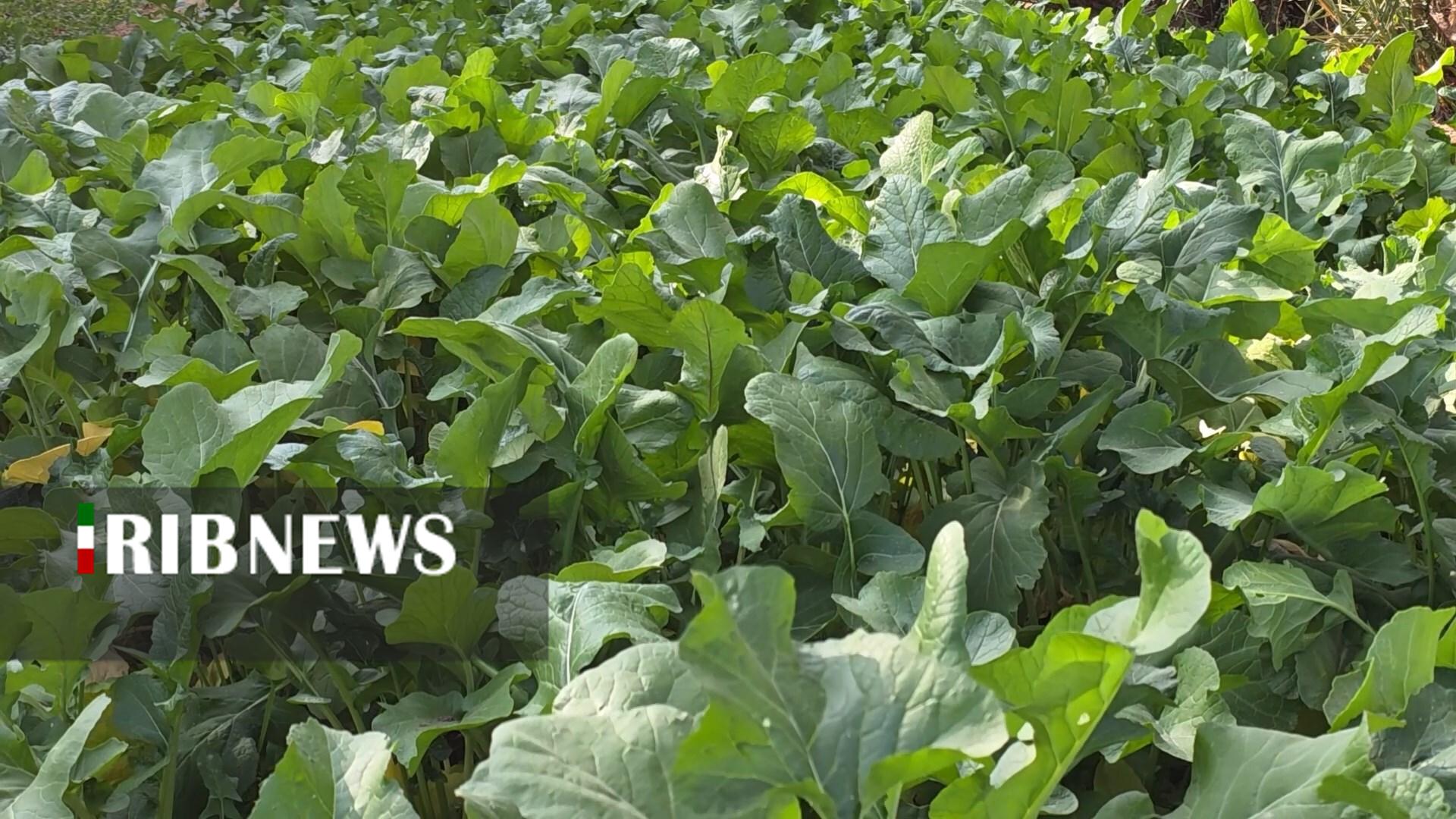 پیام سپاهان