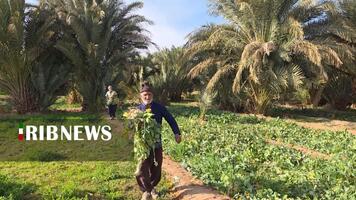 پیام سپاهان