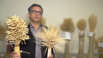 پیام سپاهان