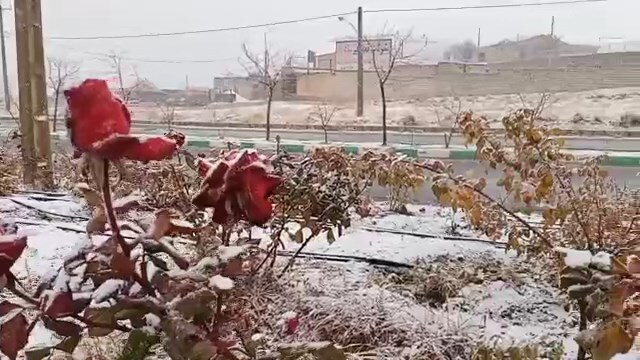 پیام سپاهان