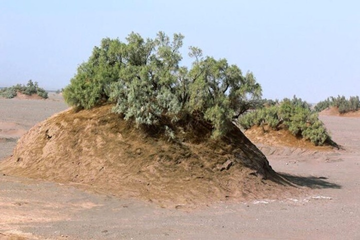 پیام سپاهان