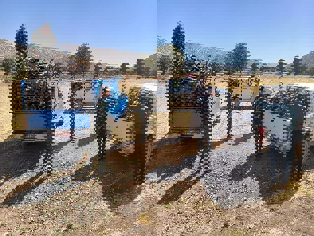 ۵ تن چوب تاغ جنگلی غیر مجاز در اصفهان کشف شد