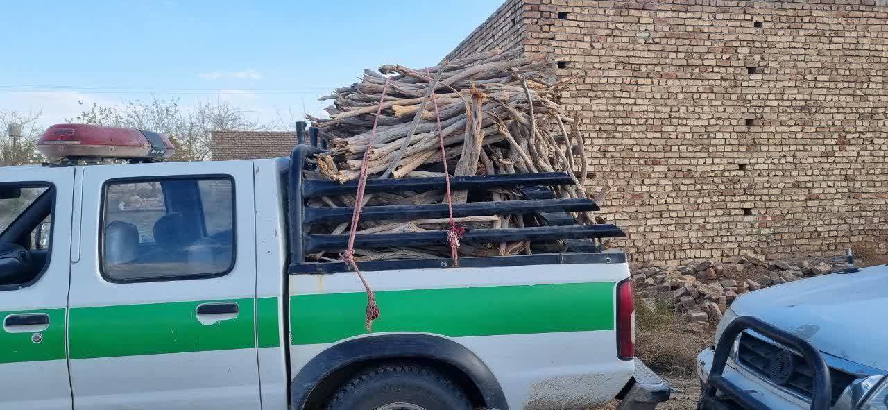 کشف ۵ تن چوب تاغ جنگلی غیر مجاز در اصفهان