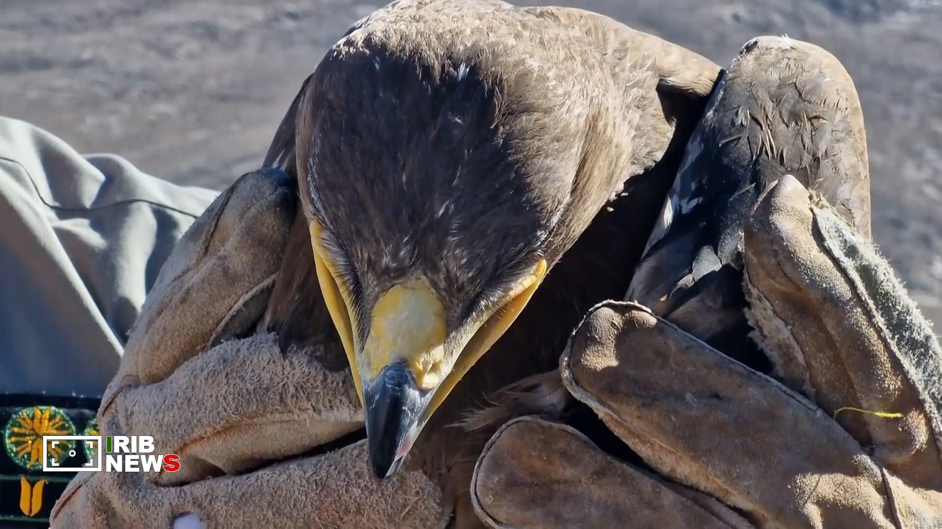 پیام سپاهان