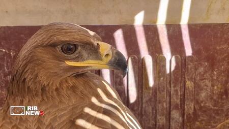 پیام سپاهان