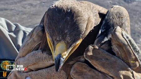 پیام سپاهان