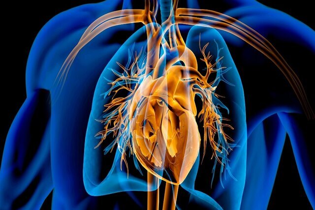 پیام سپاهان