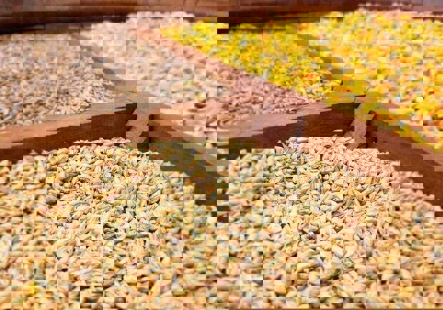 استاندار اصفهان دستور تأمین فوری نهاده دامداران را داد