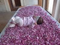 مراسم رونمایی از ثبت آئین گل غلتان نوزاد در قمصر کاشان