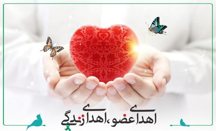 افزایش دوبرابری اهدای عضو در کاشان و آران وبیدگل