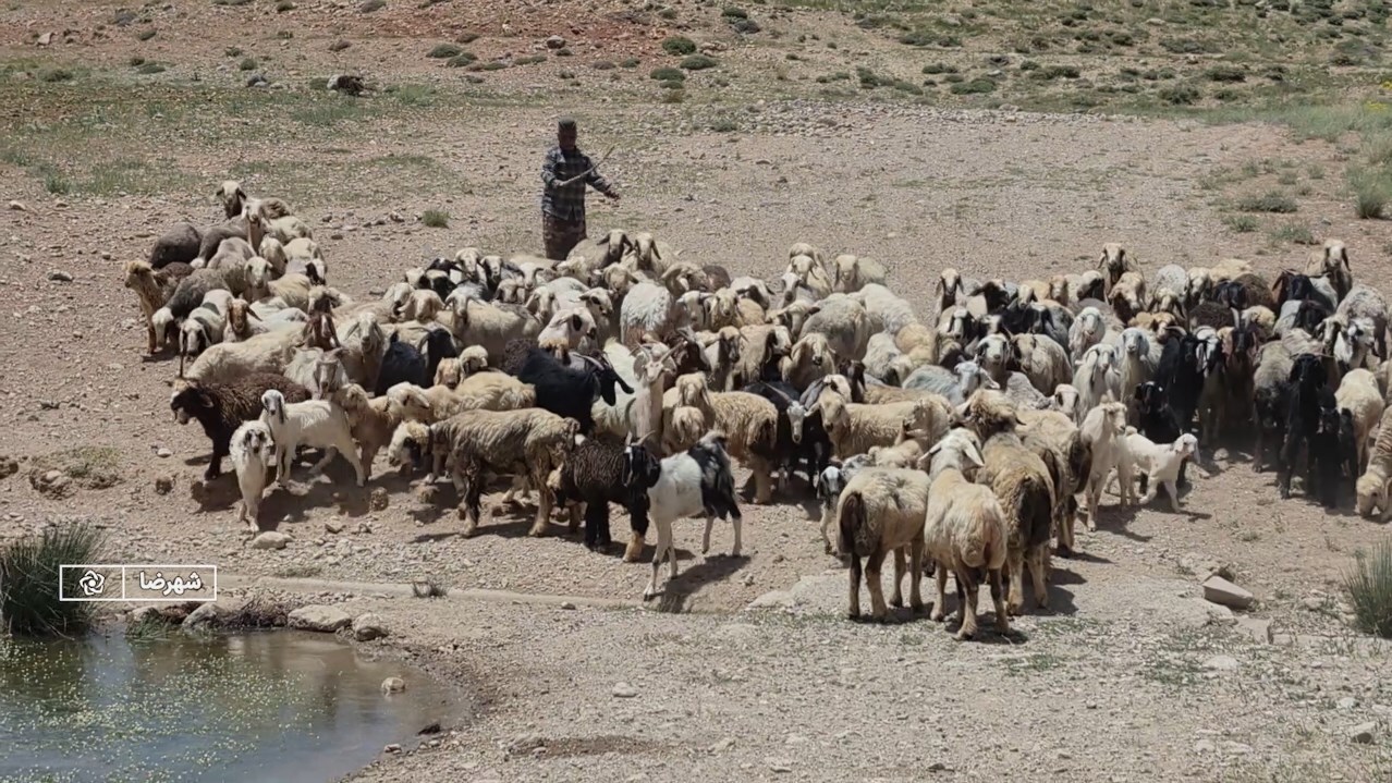 پیام سپاهان