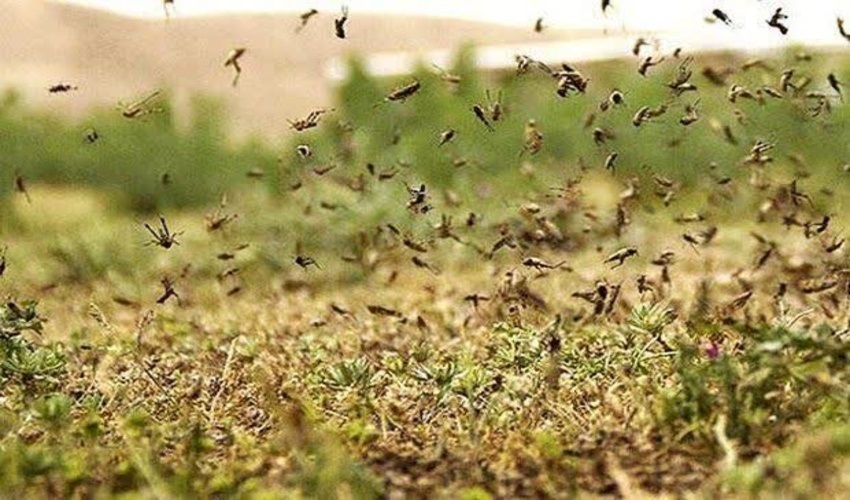 پیام سپاهان