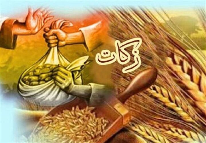 جمع آوری ۵۱۰ میلیارد ریالی زکات از کشاورزان در استان