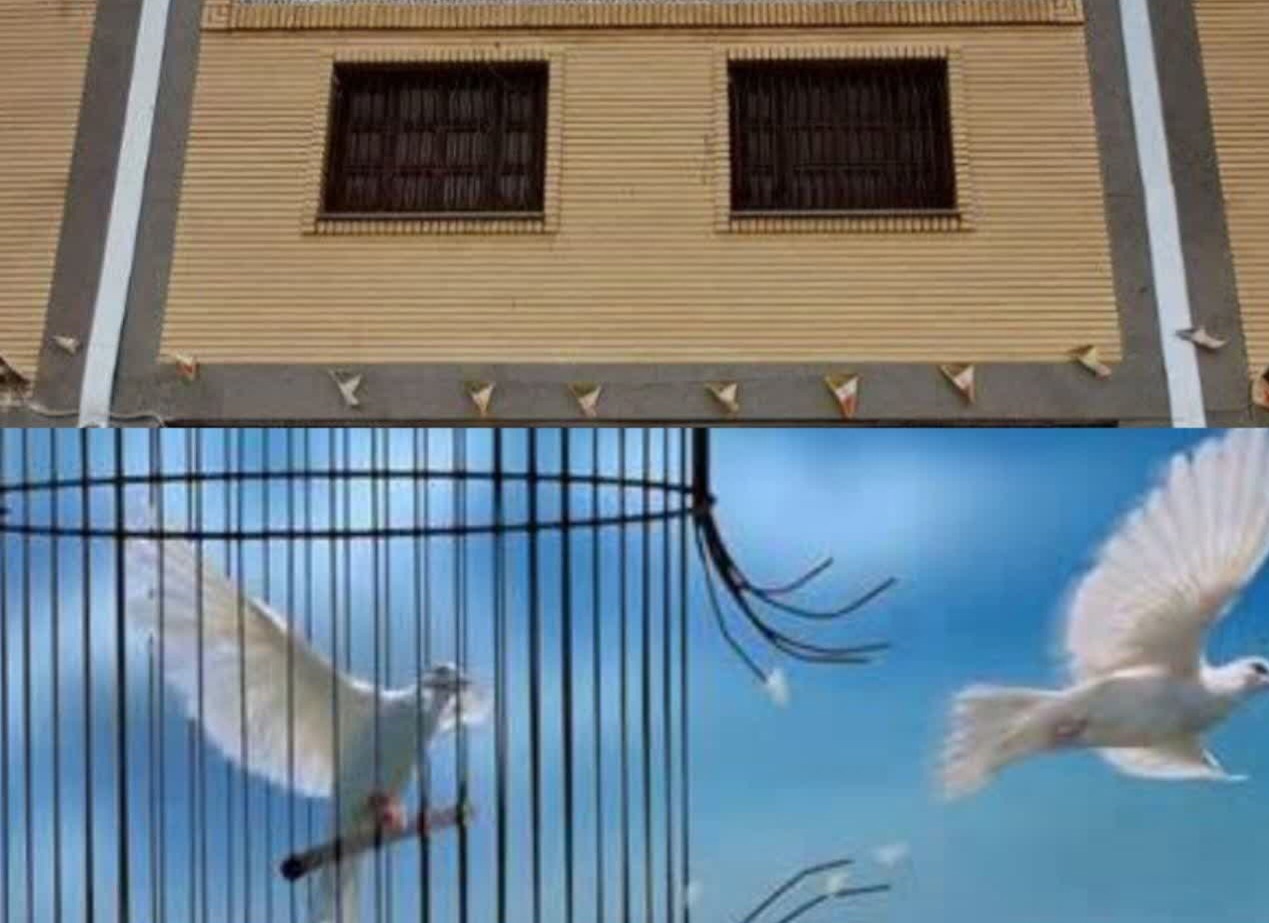بازگشت دو زندانی به آغوش گرم خانواده