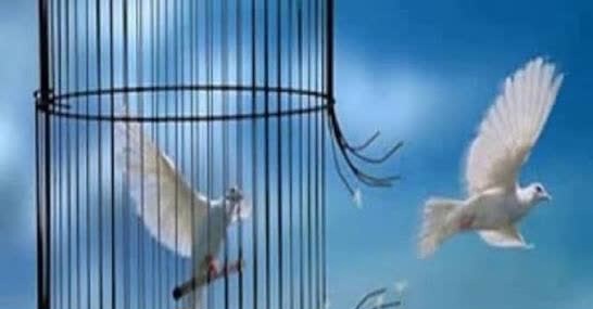 آزادی یک زندانی هدیه ای که با همدلی جمعی ممکن شد