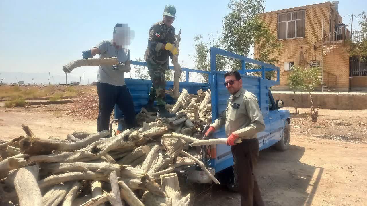 کشف بیش از ۲.۵ تن چوب غیرمجاز تاغ در اصفهان