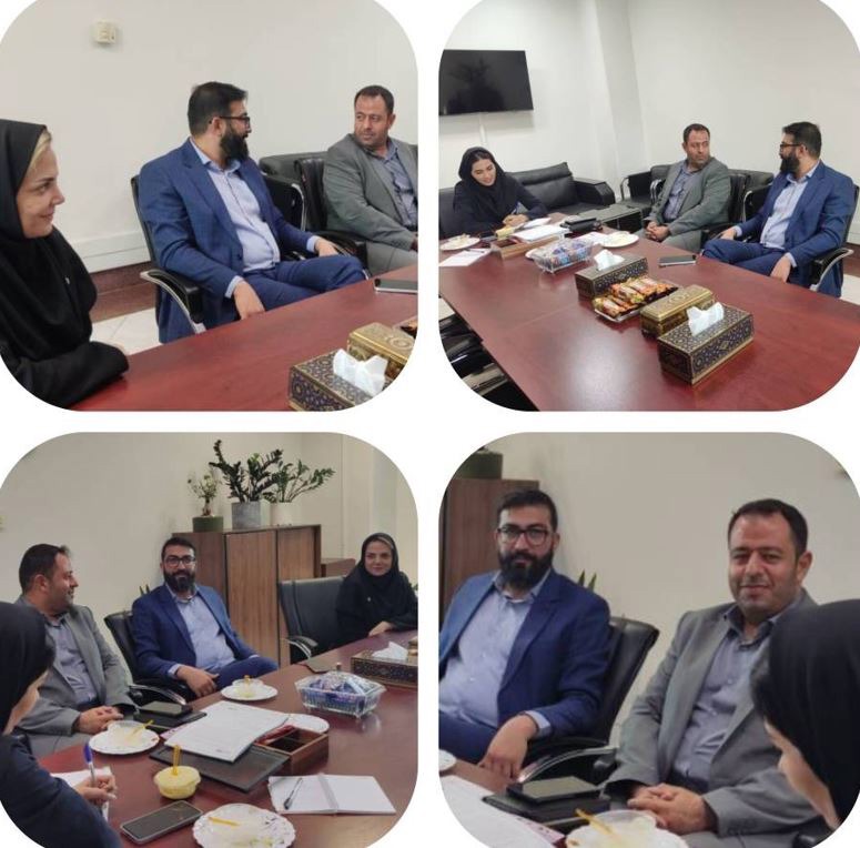 نشست مشترک شعبه ایثار بیمه دی و شرکت توزیع نیروی برق تهران بزرگ/ رفع چالش‌ها و تسریع وصول مطالبات در دستور کار قرار گرفت