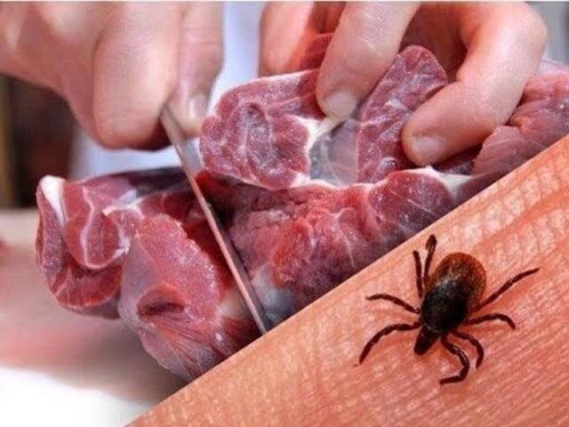 هشدار تب کریمه کنگو در یزد؛ ۹ مورد قطعی و یک فوت در سال جاری