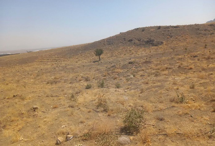 صیانت از ۷۰۰۰ مترمربع از اراضی ملی برنجگان
